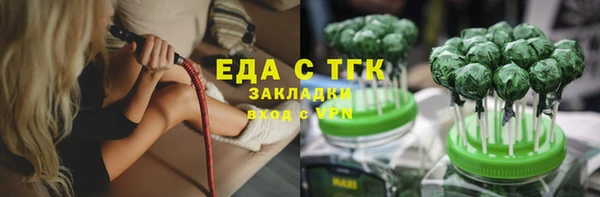 ECSTASY Бородино