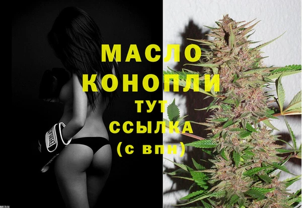 ECSTASY Бородино