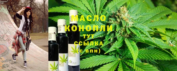 ECSTASY Бородино