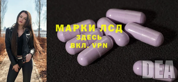 ECSTASY Бородино