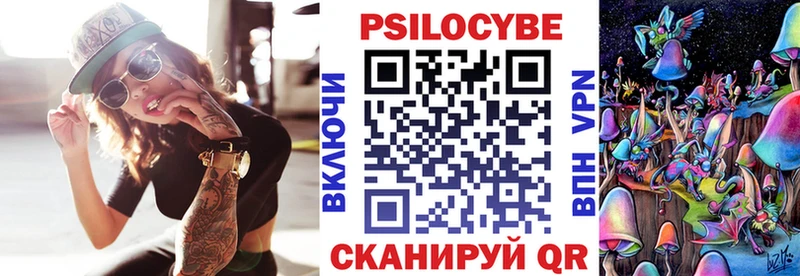 купить наркотик  Дубовка  мориарти наркотические препараты  Псилоцибиновые грибы мицелий 