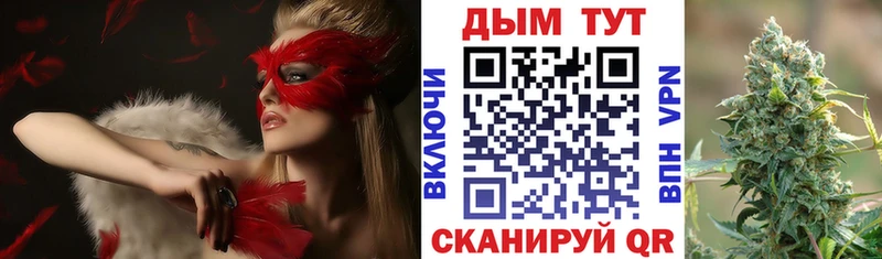 Бошки Шишки планчик Дубовка
